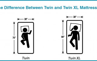 twin vs twin xl